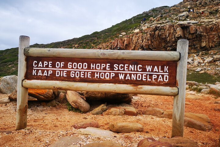Cape of Good Hope, Boulders Beach Full Day Private Experience - Image 2
