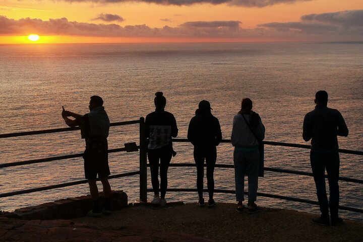 Cape of Good Hope, Boulders Beach Full Day Private Experience - Image 4