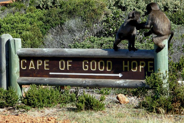 Cape of Good Hope, Cape Point & Penguins Private customizable Afternoon Tour - Image 5