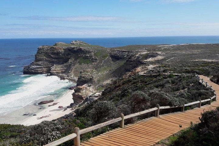 Cape of Good Hope, Cape Point & Penguins Private customizable Afternoon Tour - Image 4