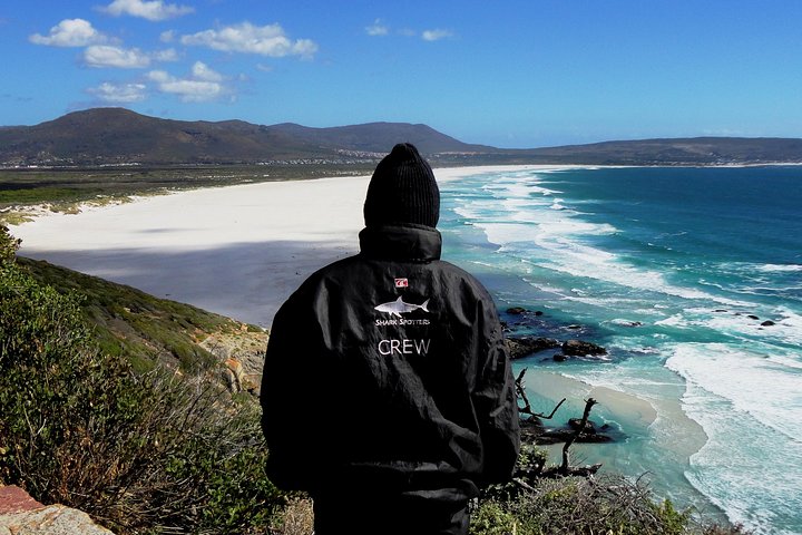 Cape of Good hope, Cape Point & Penguins, Private customizable Morning Tour - Image 1