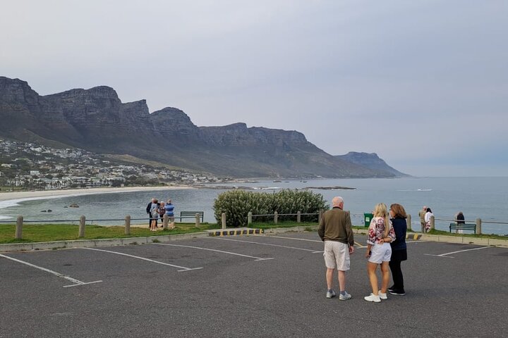Cape of Good Hope-Cape Point & Penguins Private Tour from Cape Town - Image 2