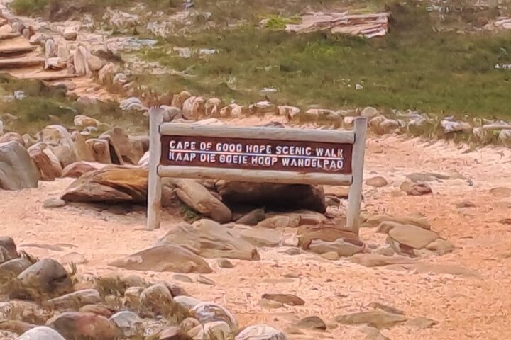 Cape of Good Hope-Cape Point & Penguins Private Tour from Cape Town - Image 1