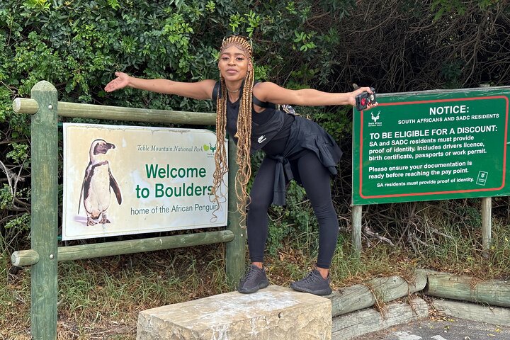Cape Of Good Hope Instagram Small Group Tour with Penguins - Image 4
