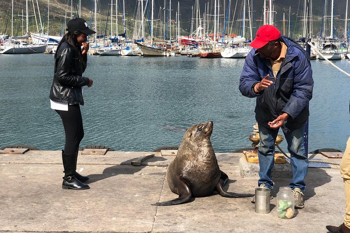 Cape of Good Hope-Penguin-Private Tour Combined With Wine Tasting Full Day Tour - Image 5