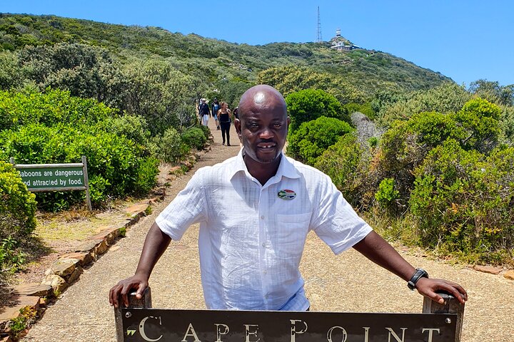  Cape of Good Hope & Penguins Boulder's Beach in Private Car  - Image 3