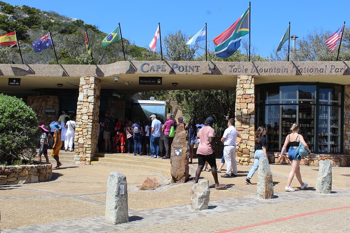 Cape of Good Hope Penguins From Cape Town Excluding Entry Fees Shared Tour - Image 2