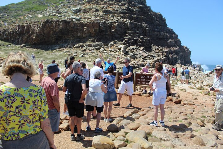 Cape of Good Hope Penguins From Cape Town Excluding Entry Fees Shared Tour - Image 4