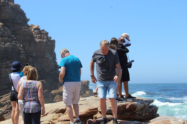 Cape of Good Hope Penguins From Cape Town Excluding Entry Fees Shared Tour - Image 5