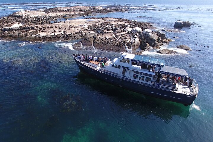 Cape of Good Hope & Penguins from Cape Town Full-Day Private Tour - Image 3