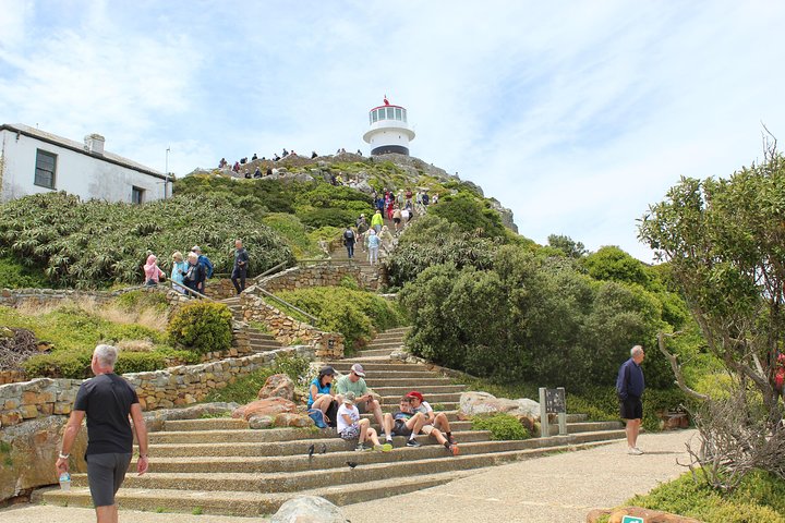Cape of Good Hope Penguins From Cape Town Private Price/Group Up To 12Pax F/D - Image 3