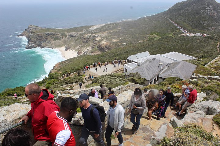 Cape of Good Hope Penguins From Cape Town Private Price/Group Up To 12Pax F/D - Image 2