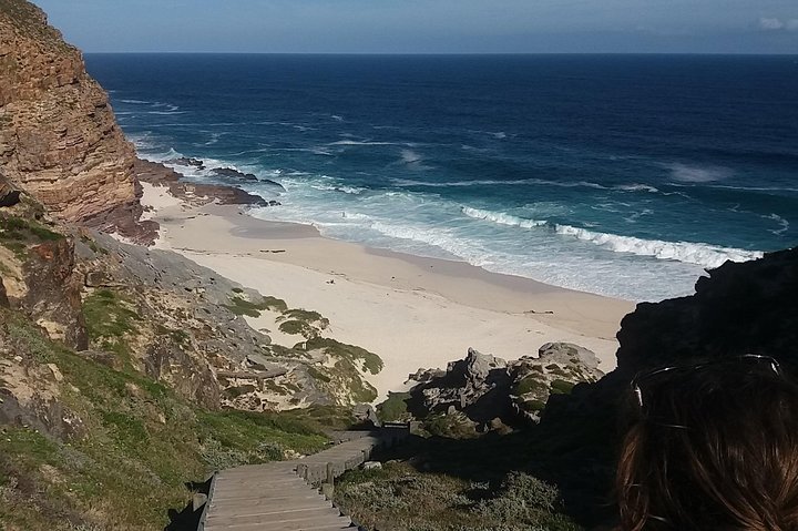 Cape of Good Hope Penguins From Cape Town Private Price/Group Up To 12Pax F/D - Image 5