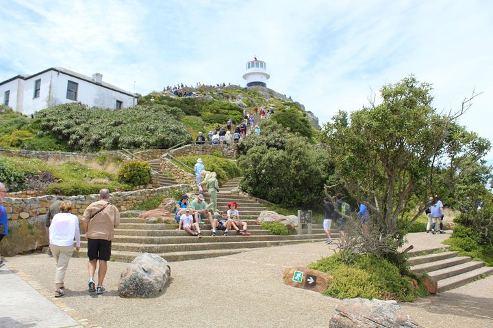 Cape Of Good Hope, Penguins Private Tour from Cape Town full day  - Image 1