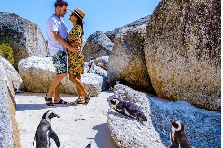 Cape of Good Hope & Penguins Small Group Tour from Cape Town - Image 2