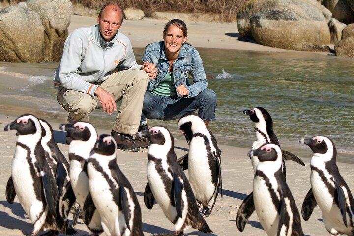 Cape of Good Hope & Penguins Small Group Tour from Cape Town - Image 1