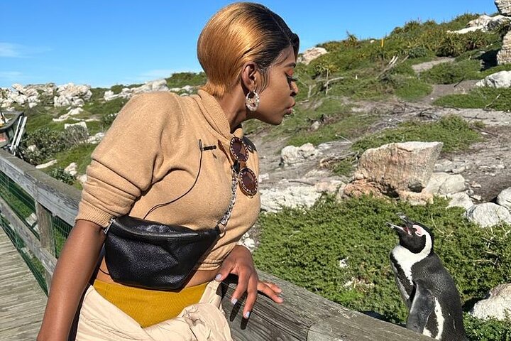 Cape of Good Hope & Penguins Small Group Tour from Cape Town - Image 3