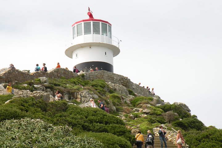 Cape of Good Hope Peninsula & Boulders Beach Penguins Private Tour - Image 3