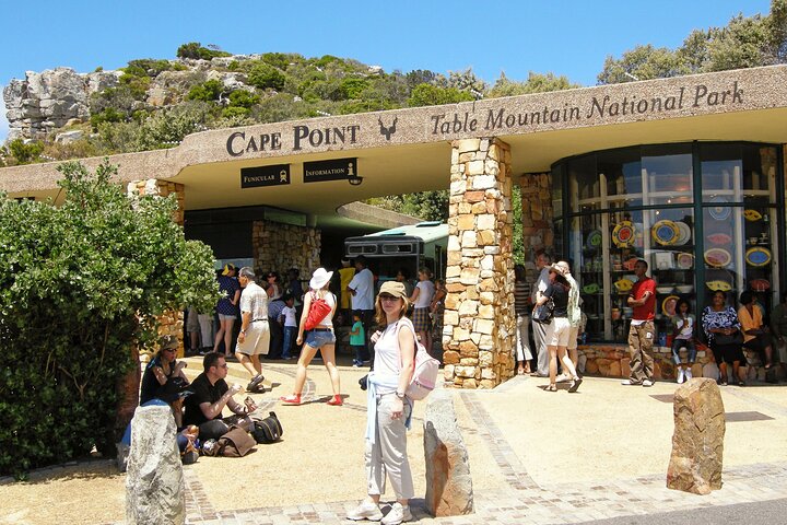 Cape of Good Hope Private Tour to Cape Point & Penguins From Cape Town - Image 4
