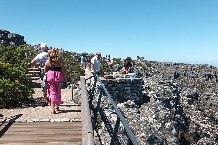 Cape of Good Hope, Table Mountain & Penguins Tour + All Tickets - Image 4
