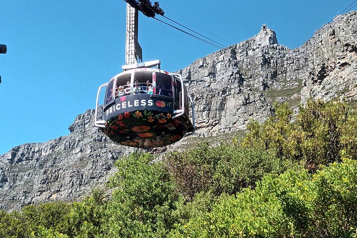 Cape of Good Hope, Table Mountain & Penguins Tour + All Tickets - Image 1