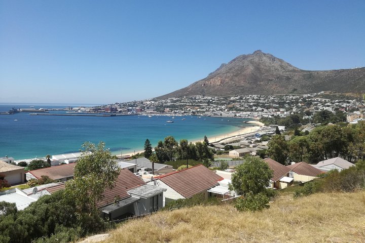 Cape of Good Hope tour Full day /Half day - Image 1