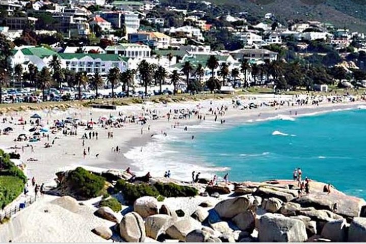 Cape of Good Hope tour Full day /Half day - Image 4