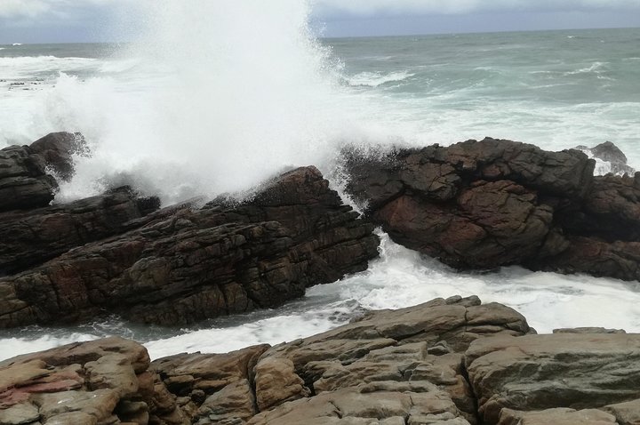 Cape of Good Hope tour Full day /Half day - Image 3