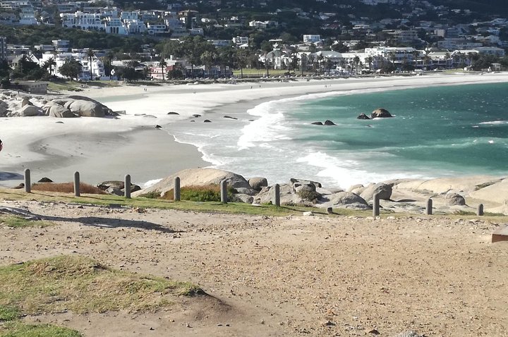 Cape of Good Hope tour Full day /Half day - Image 2