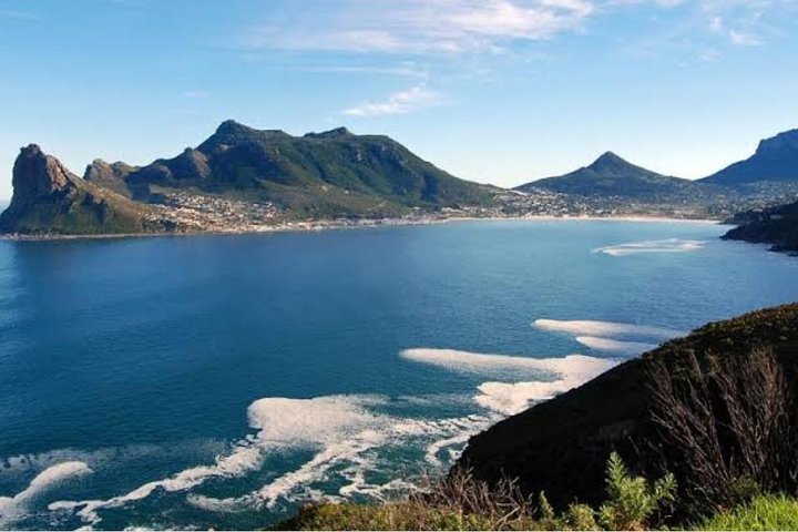 Cape of Good Hope tour Full day /Half day - Image 5