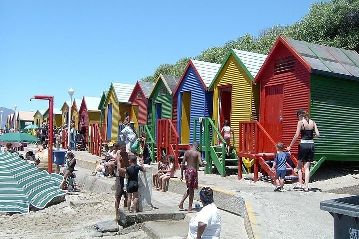 Cape Peninsula and Kisternbosch botanical Garden Full Day Tour. - Image 2