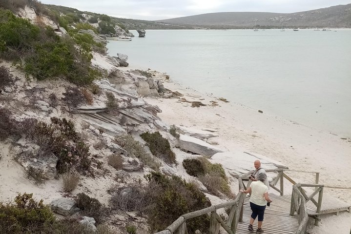 Cape Peninsula and Penguins at Boulders Beach - Image 4