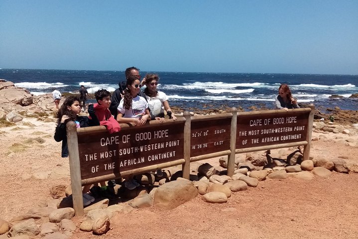 Cape Peninsula and Penguins at Boulders Beach - Image 2