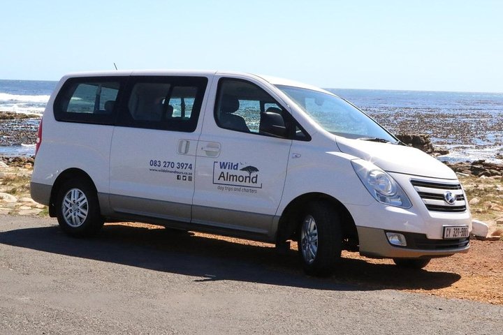 Cape Peninsula - Custom-made Private Day Tour ( Max of 3 Persons) - Image 5