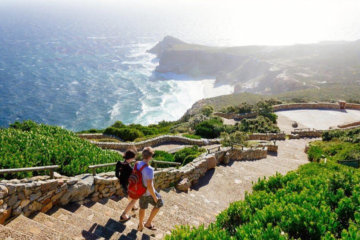 Cape Peninsula Full Day Tour - Image 5