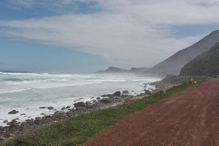 Cape Peninsula Full Day Tour to Cape Point - Image 1