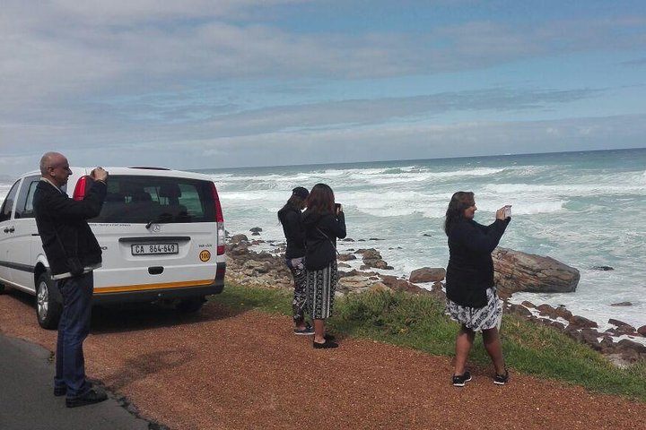 Cape Peninsula Full Day Tour to Cape Point - Image 2