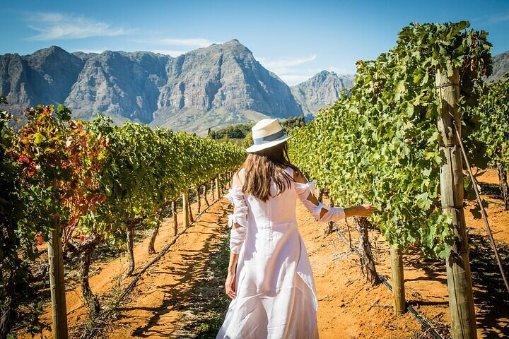Cape Peninsula Helicopter Private Tour with Stellenbosch Wine Tasting & Lunch - Image 5