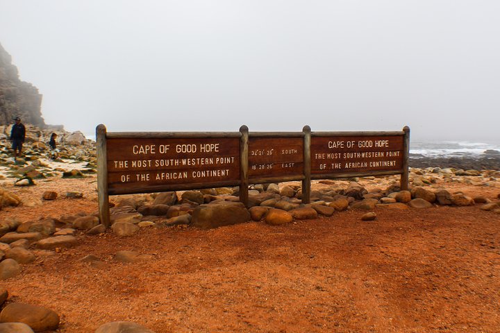 Cape Peninsula Private Tour - Image 5