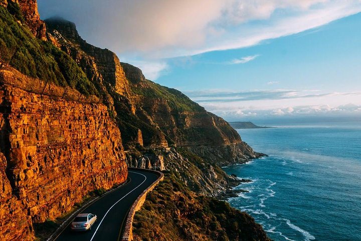Cape Peninsula Private Tour - The best of Cape Town (Max 4 persons) - Image 1