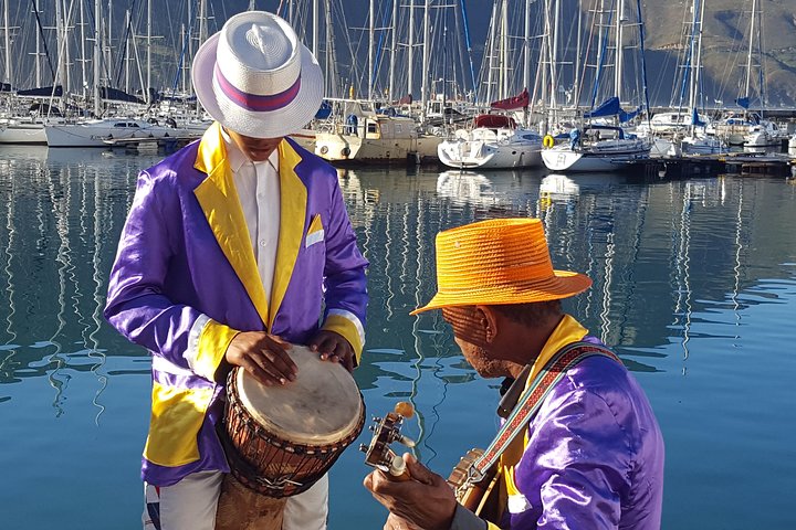 Cape Peninsula Private Tour - The best of Cape Town (Max 4 persons) - Image 5