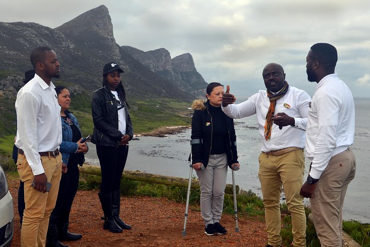 Cape Peninsula Private Tour with entrance fees to Cape of Good Hope and Penguins - Image 4