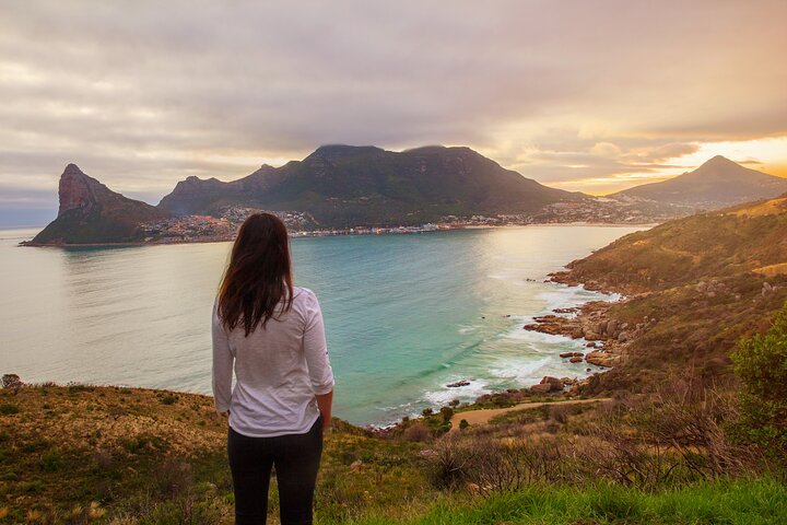 Cape Peninsula Private Tour with entrance fees to Cape of Good Hope and Penguins - Image 5