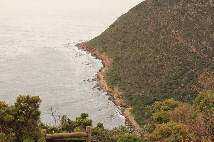 Cape Point and Cape of Good Hope day tour Up to 10 persons - Image 3