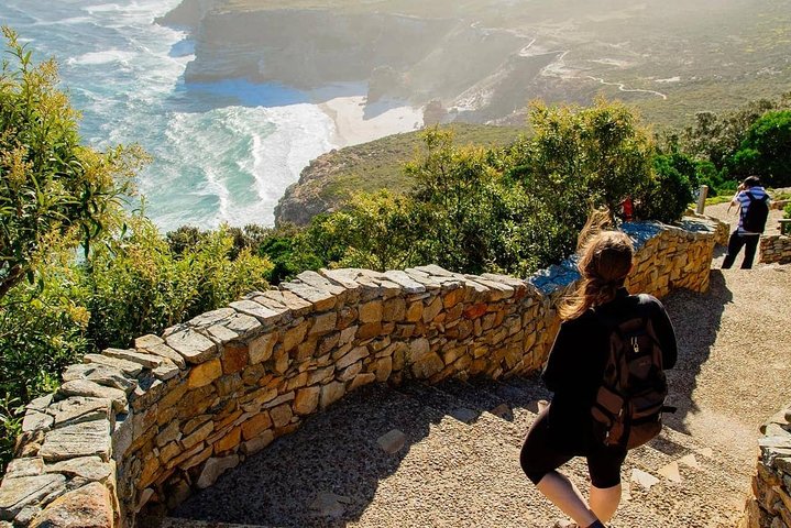 Cape Point and Peninsula Tours - Image 4