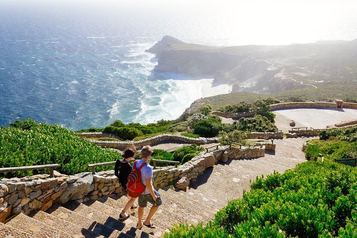 Cape Point and Peninsula Tours - Image 2