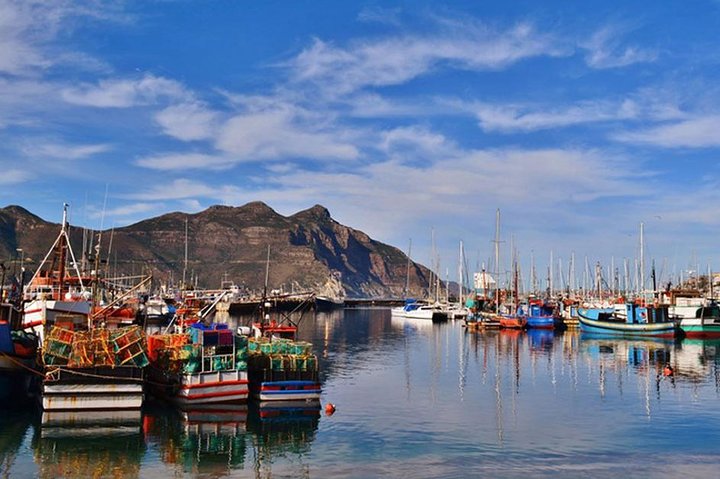 Cape Point Peninsula Tour - Image 4