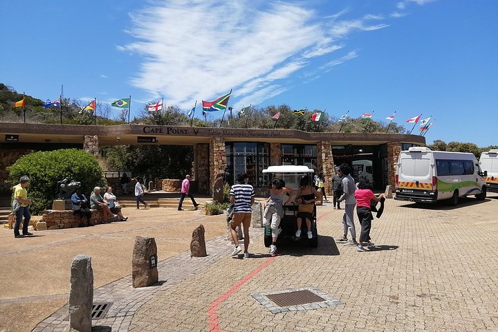 Cape Point Private Tour withTable Mountain and Penguin Colony - Image 5
