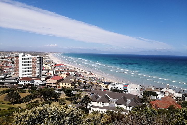 Cape Point Private Tour withTable Mountain and Penguin Colony - Image 4