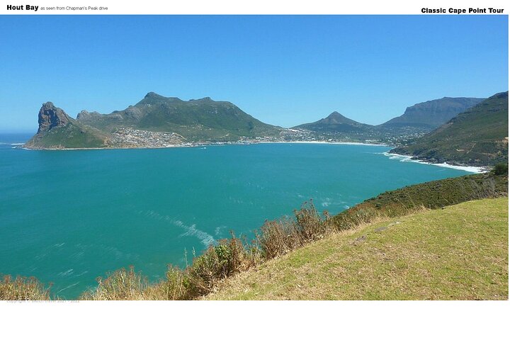 Cape Point Tour - Classic - Image 3